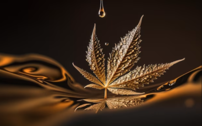 Introducing the Art and Science of Cannabis Infusion  