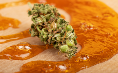 Everything You Need to Know About Cannabis Concentrates