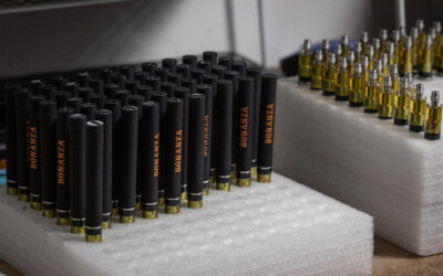 How to Choose the Right Vape for Your Lifestyle: Discreet, Potent or Flavor-forward