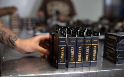 Building a Sustainable Cannabis Industry: Challenges and Opportunities