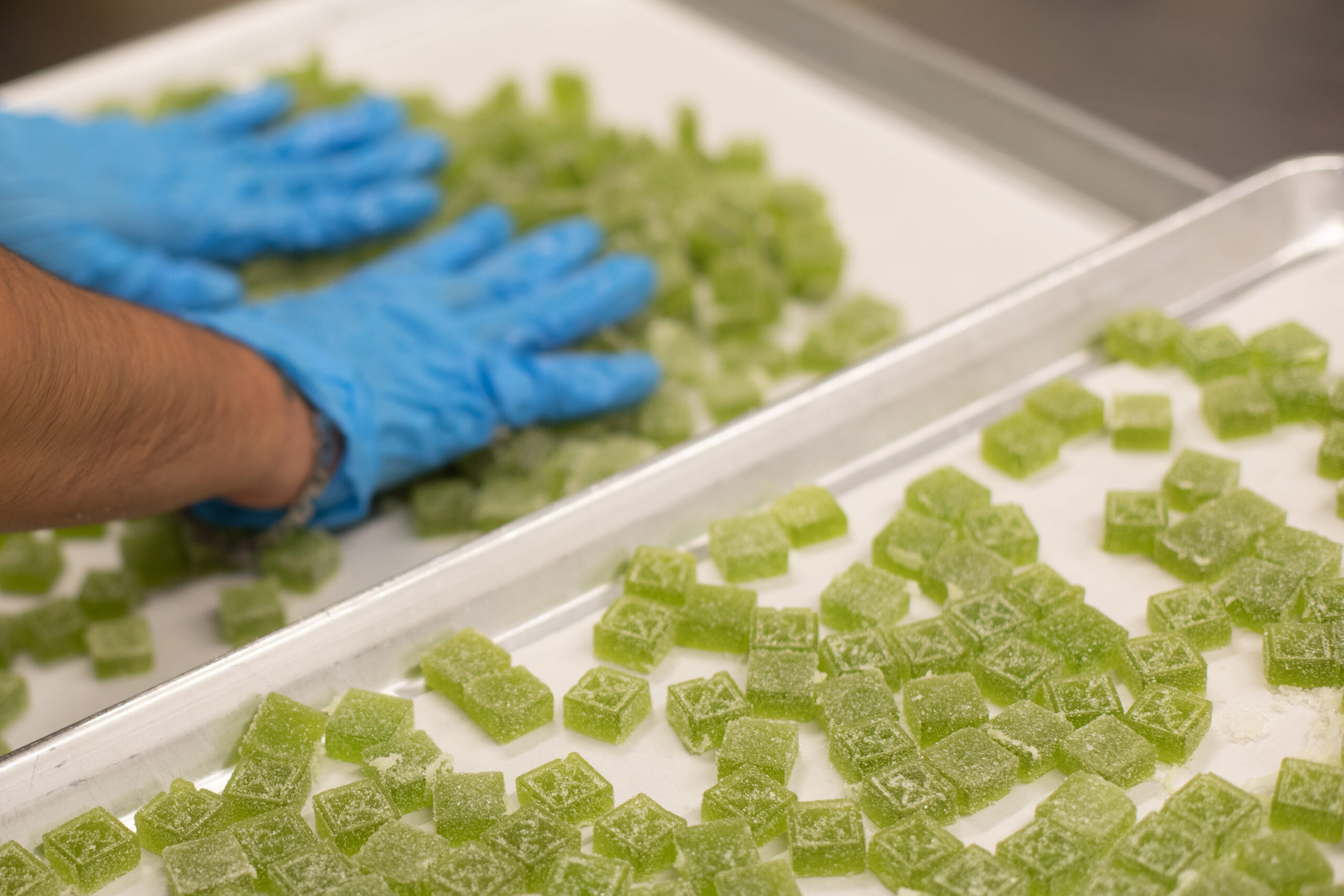 Bonanza Cannabis stands for family-run excellence and superior cannabis quality.